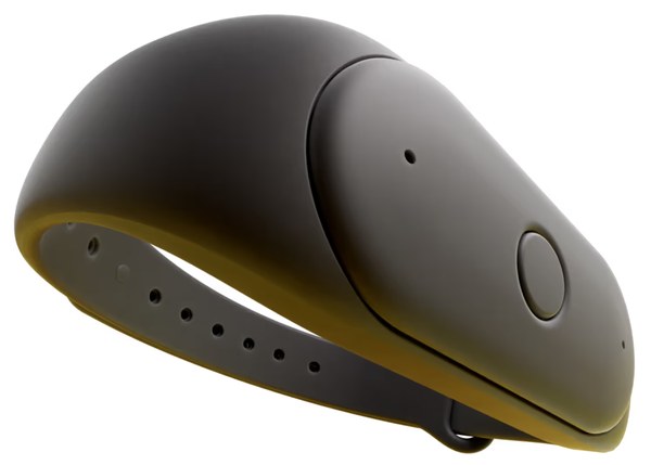 Bee AI Memory Companion